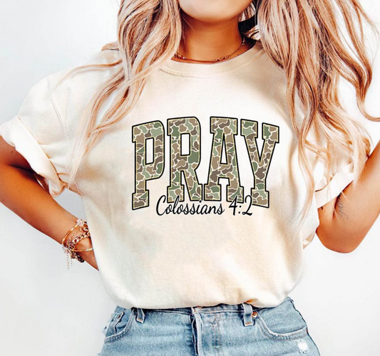 PRAY Colossians 4:2 Christian camo lettering tee
Faith-based beige shirt with scripture design
Christian graphic tee unisex comfort colors style