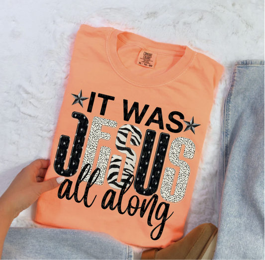 "It Was Jesus All Along Christian graphic T-shirt with animal print letters"

"Faith-based inspirational t-shirt in peach color"

"Christian religious unisex tee with Jesus lettering"