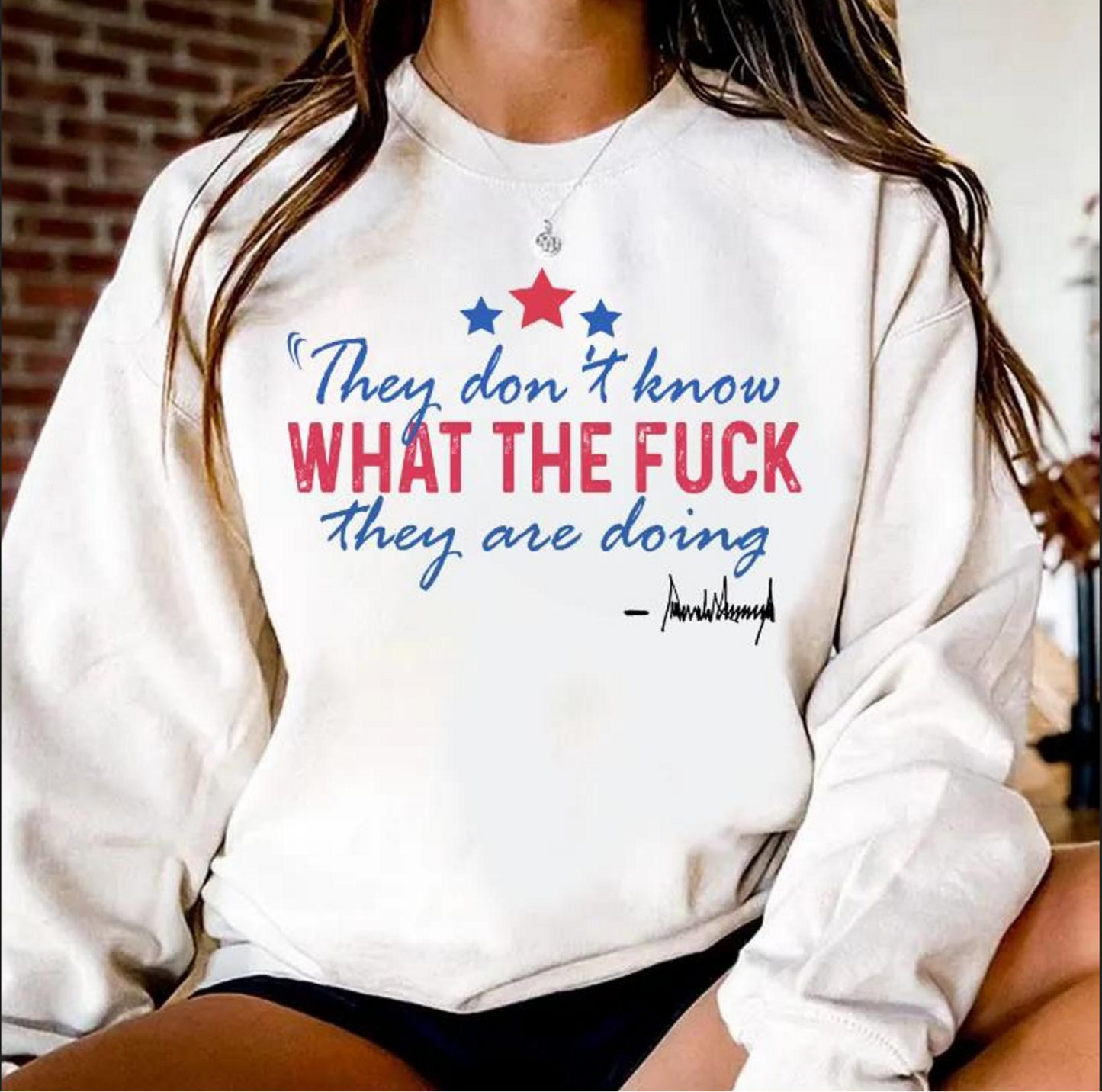 "Political parody sweatshirt with Trump signature and sarcastic quote"

"Funny political statement crewneck in red white and blue"

"Trump signature graphic sweatshirt unisex"